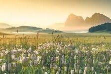 足球比分直播500完整版-足球比分直播500完整版，球迷的实时信息盛宴，畅享绿茵激情每一刻
